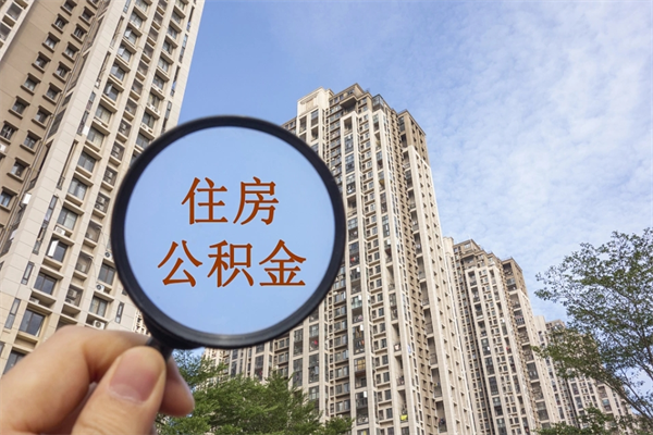 双峰辞职了补充公积金能取不（辞职后补充公积金如何提取）